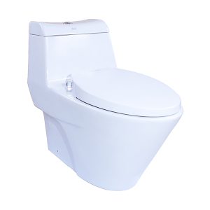 activa one-piece toilet with Razor Smart Washer