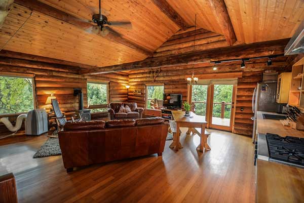 living room rustic interior design