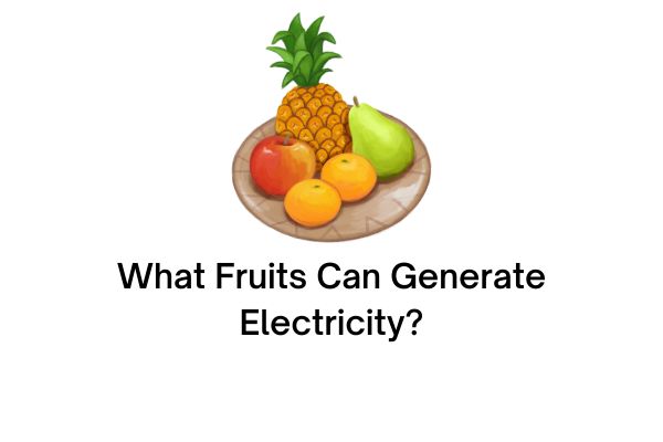 Fruits that Can Generate Electricity